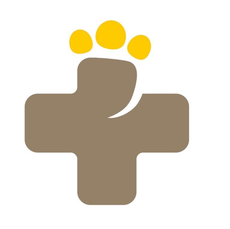 327193147_1294241264453922_8036785200395078373_n